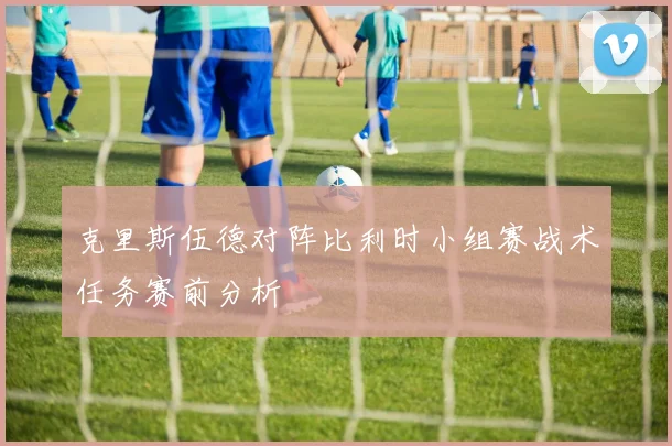 克里斯伍德对阵比利时小组赛战术任务赛前分析